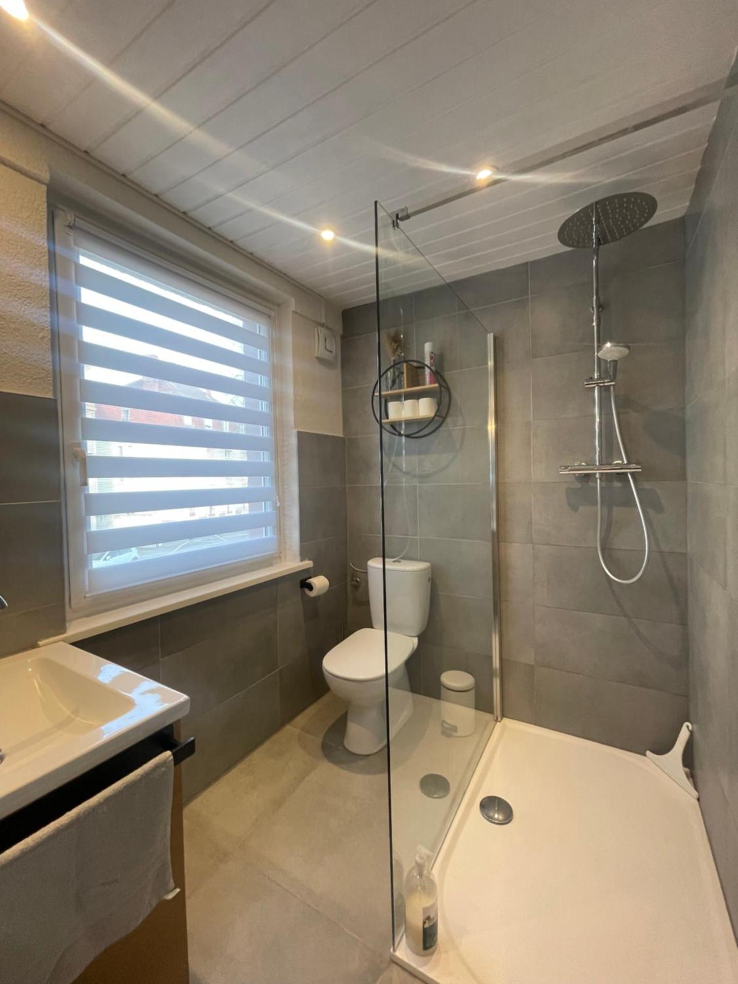 « A Deux Pas De La Petite Venise » Apartment Colmar Bagian luar foto